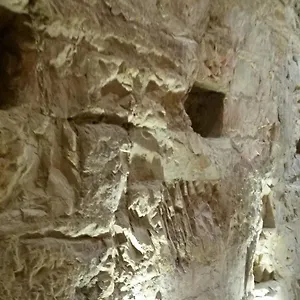 Aurora Delle Rose Apartment