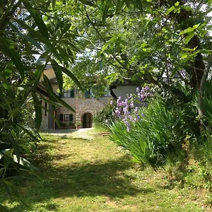 https://il-colombaio-cavriglia.it-tuscanyhotel.com